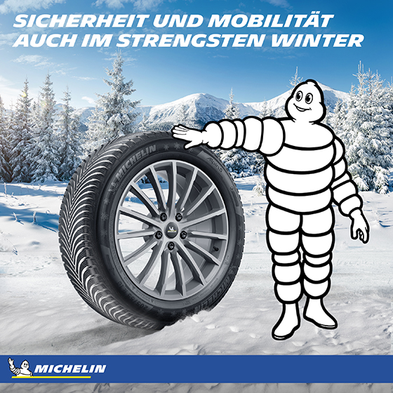 Michelin Alpin 5 215/65 R17 99H, Selfseal 